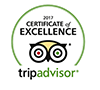 Trip Advisor